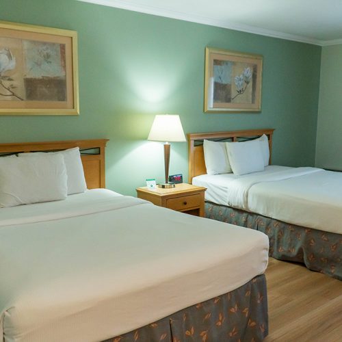 Executive Double Room