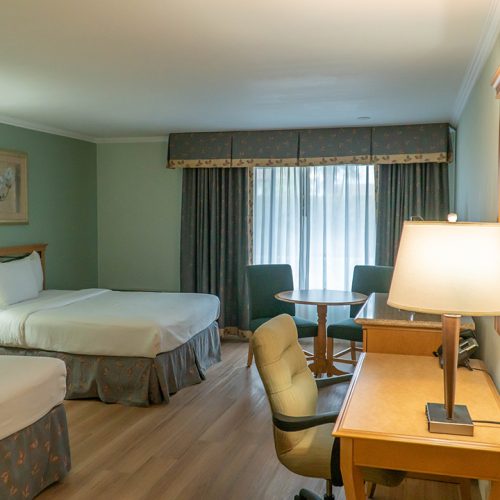 Executive Double Room