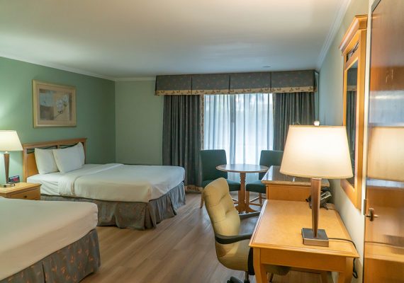 Executive Double Room