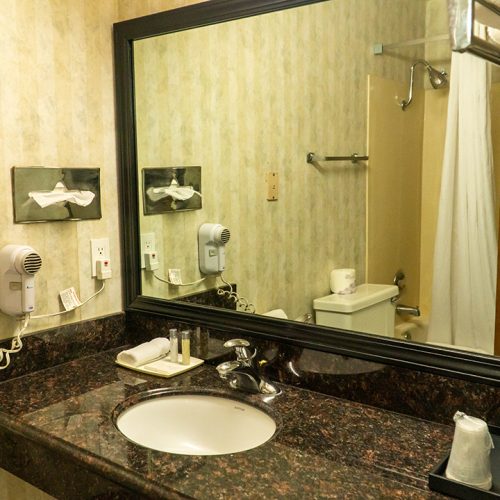 Pet Friendly Double Room