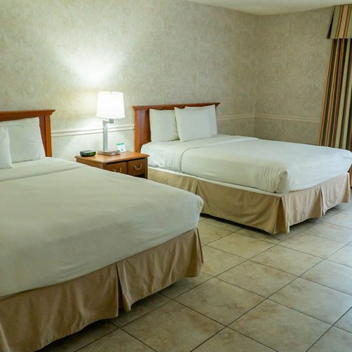 Pet Friendly Double Room