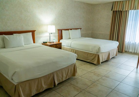 Pet Friendly Double Room