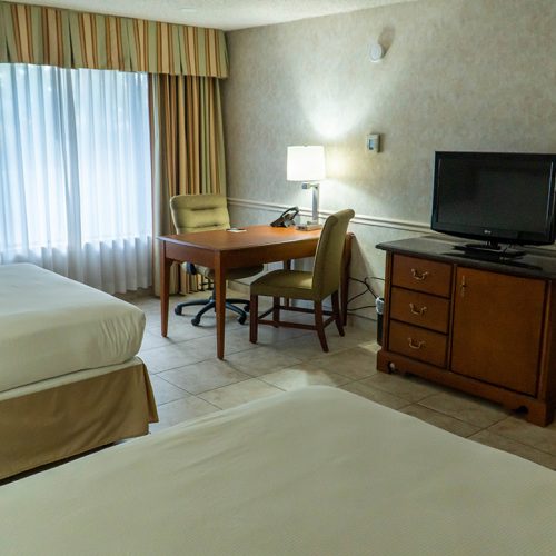 Pet Friendly Double Room