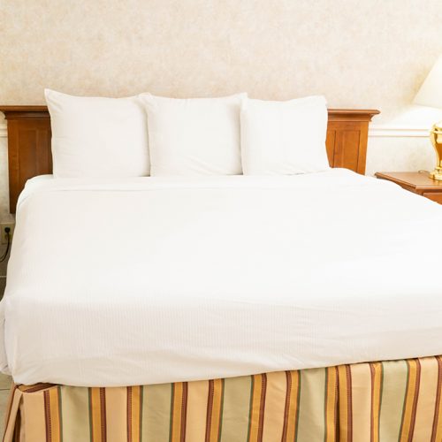 Pet Friendly King Room