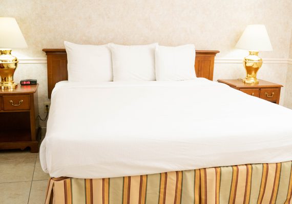 Pet Friendly King Room