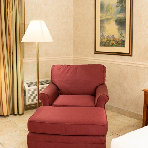 Pet Friendly King Room