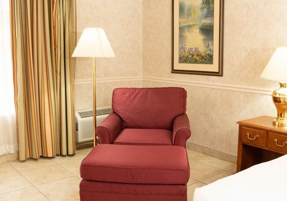 Pet Friendly King Room