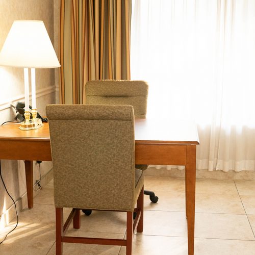 Pet Friendly King Room