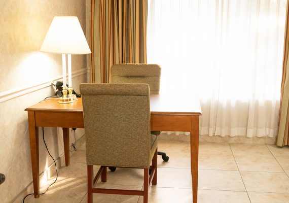 Pet Friendly King Room