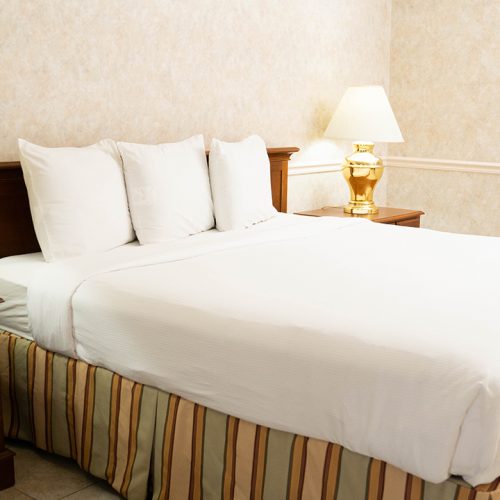 Pet Friendly King Room