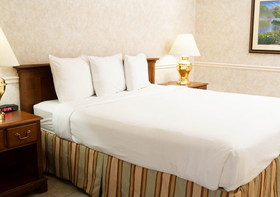 Pet Friendly King Room