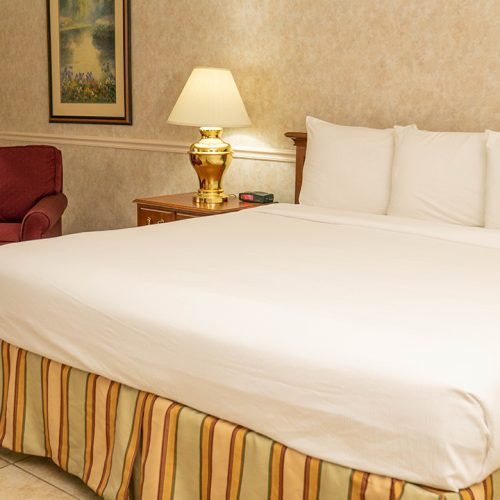 Pet Friendly King Room