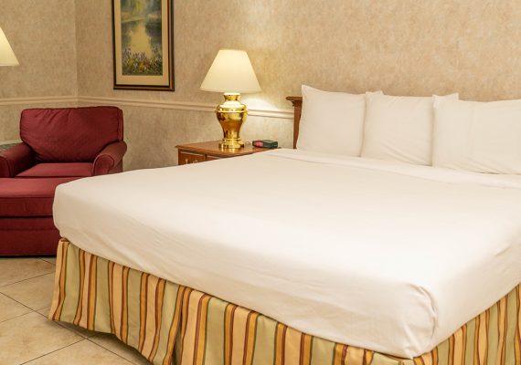 Pet Friendly King Room