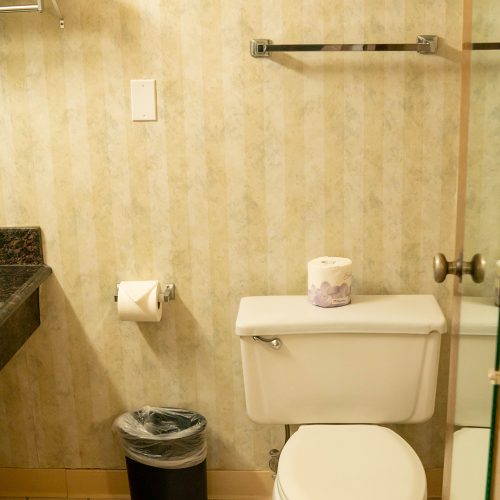 Pet Friendly King Room