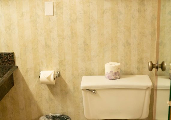 Pet Friendly King Room