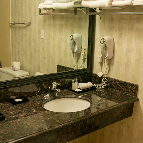 Pet Friendly King Room