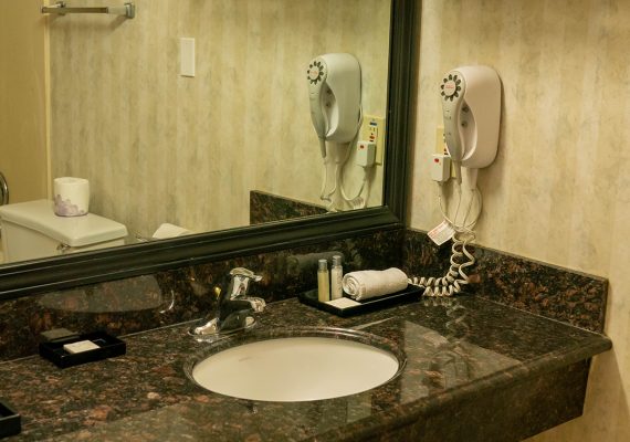 Pet Friendly King Room