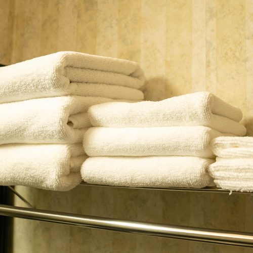 Pet Friendly King Room