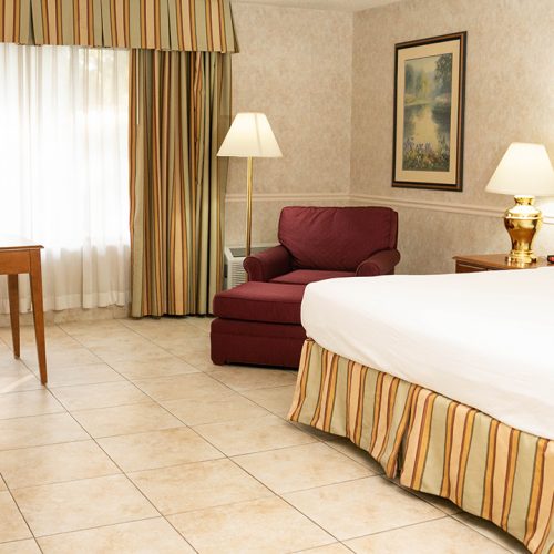 Pet Friendly King Room