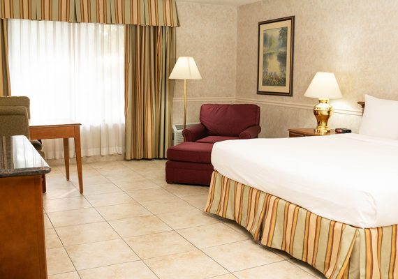 Pet Friendly King Room