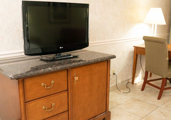 Pet Friendly King Room