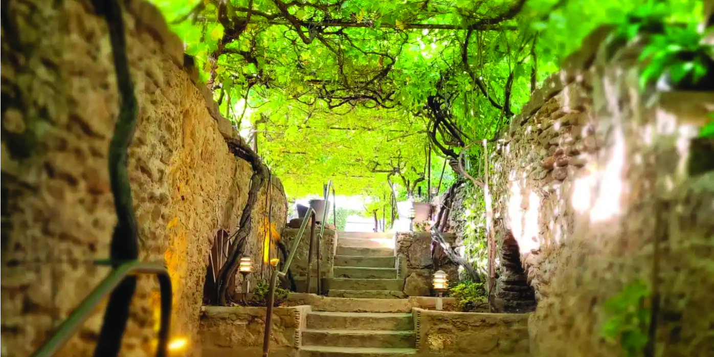 Underground Gardens