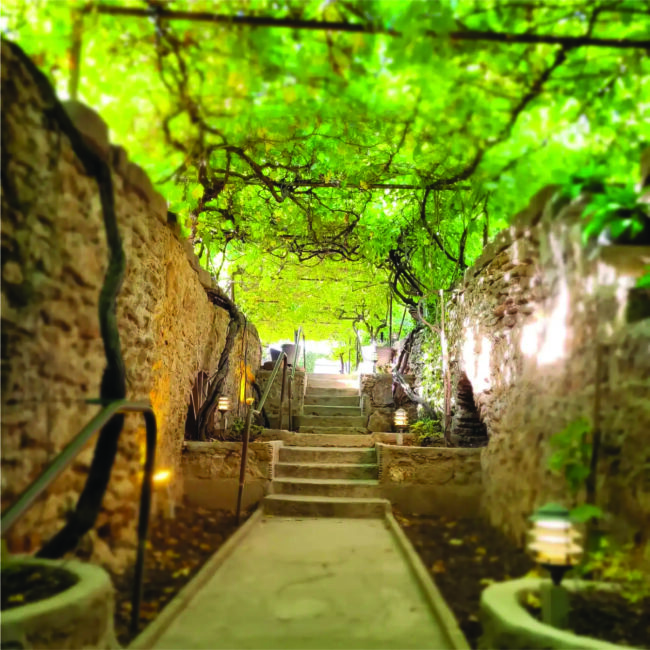 Underground Gardens